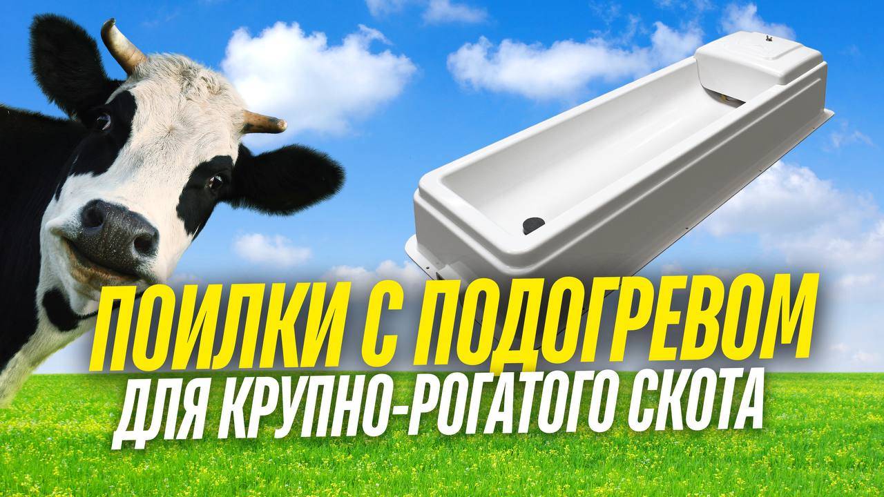 ПОИЛКИ С ПОДОГРЕВОМ ДЛЯ КРУПНОРОГАТОГО СКОТА