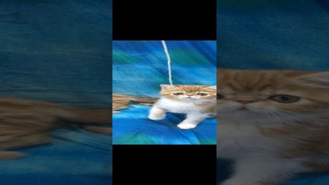 06-10-2024