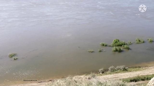 Велопрогулка