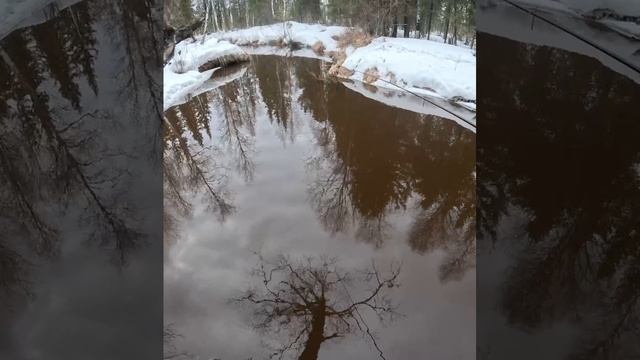 Рыбалка .Знаем даже где клюнет.