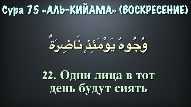 Сура 75 аль-Кыйама (арабские и русские титры) - Мухаммад Люхайдан