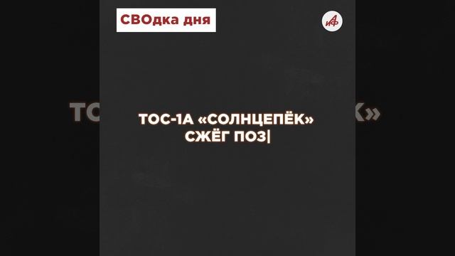 Смертоносный «Ураган». Российская РСЗО оставила от опорника ВСУ одни щепки в районе Часового Яра