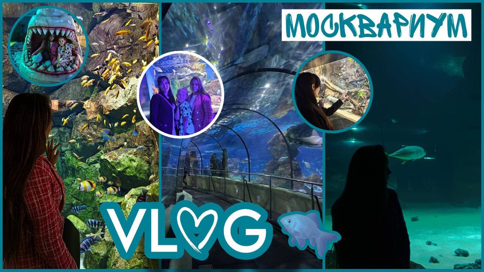 //VLOG🍾// ДЕНЬ РОЖДЕНИЯ МАМЫ🎉//ТРЕНИРОВКА ТЮЛЕНЕЙ🦭//ВДНХ🌳//21.09.2024//