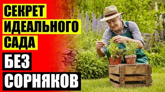 ЧЕМ ОБРАБОТАТЬ УЧАСТОК ОТ СОРНЯКОВ 👍