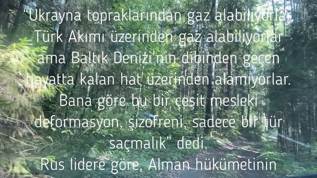 Almanya, Kuzey Akım'ın bozulmamış hattını açmayacak