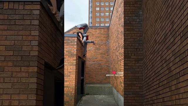 1000014513.mp4