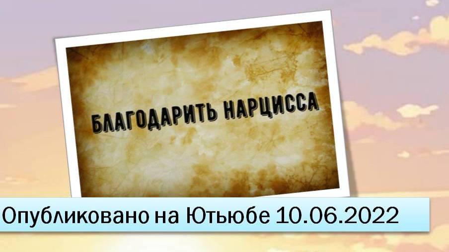 Благодарить нарцисса (10.06.2022)