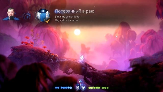 КВОЛОК ВСЁ, ОТПРАВЛЯЕМСЯ В ТЕМНОТУ ▬ Ori and the will of the wisps № 12