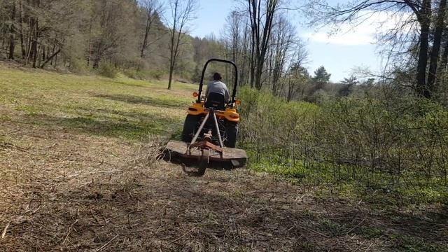 Will It Cut It? Clearing Land With A Brush Hog