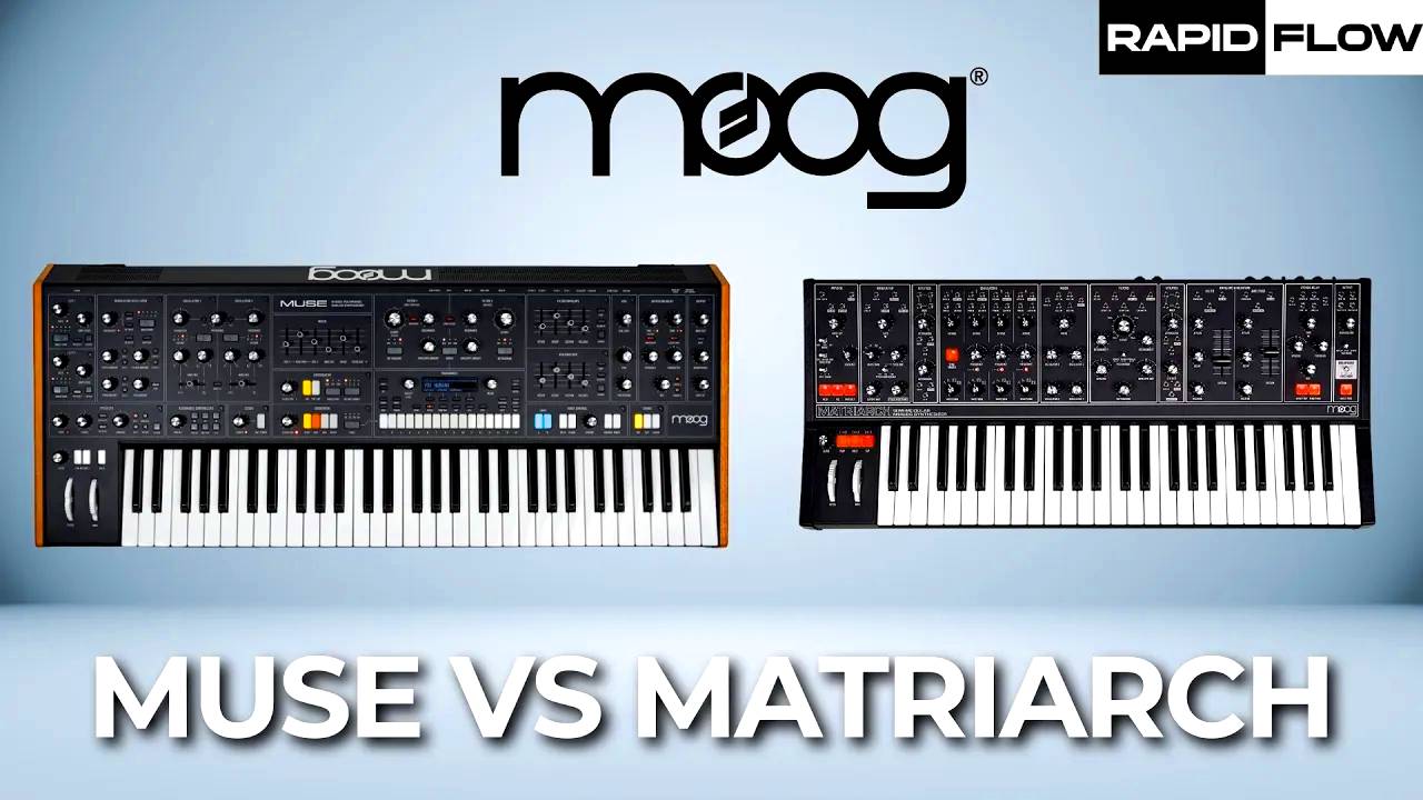 Moog Muse vs Matriarch: Which One is for You?