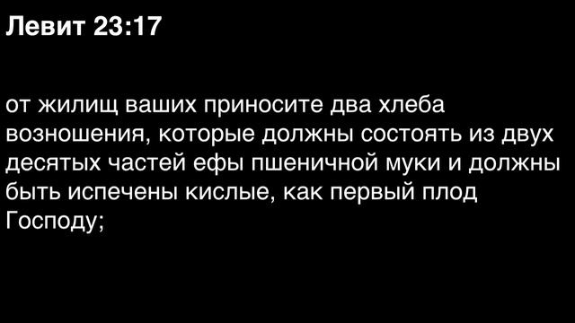 День 33. Библия за год. Книга Левит . Главы 22-24.