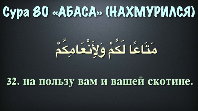 Сура 80 аль-Абаса (арабские и русские титры) - Мухаммад Люхайдан