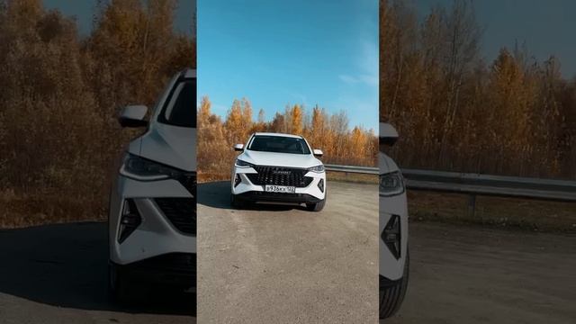 HAVAL БАРНАУЛ МОТОРС