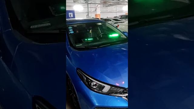 автоглаза-1