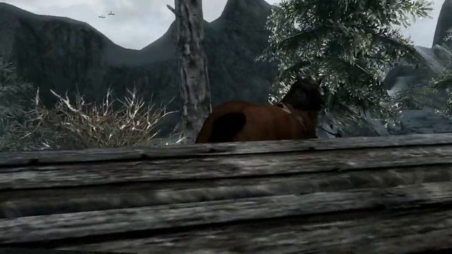 TESV (SKYRIM) ЛАГИ ЛАГИ ЛАГИ