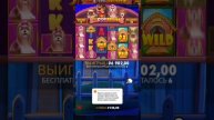 Мега занос в Dog house Megaways! #Занос #casino #DogHouseMegaways