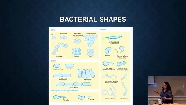 The problem of Antibiotic Resistance