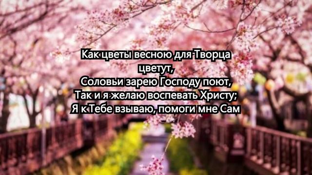 Как весною солнце радует сердца