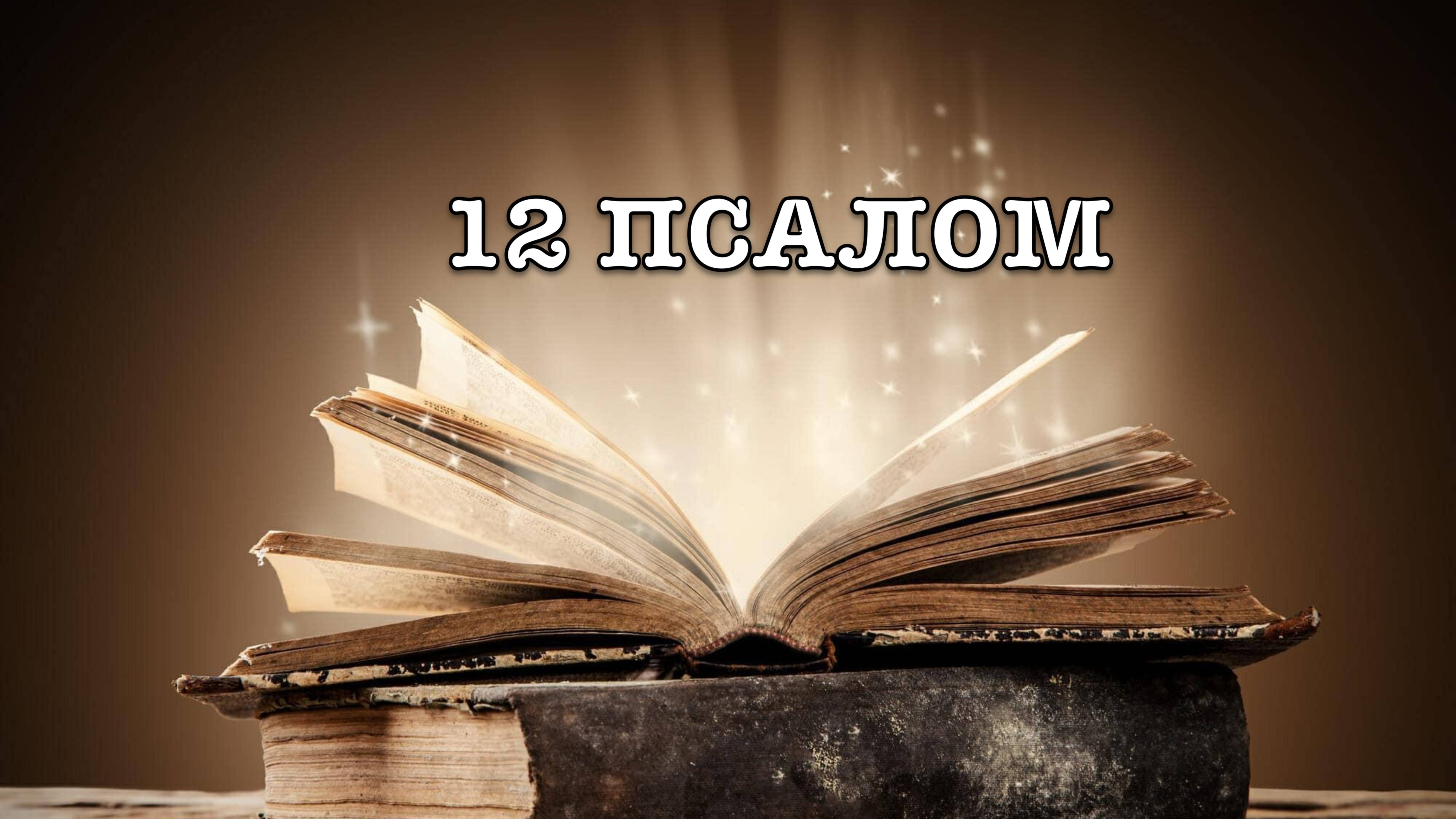 12 ПСАЛОМ