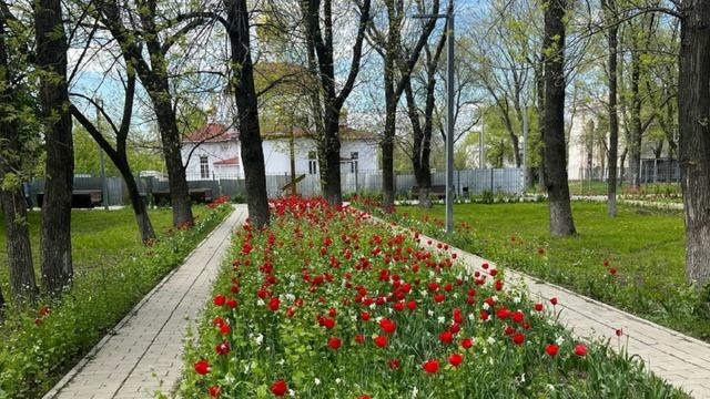 Николаич - Тихий город моей души (Гуково)