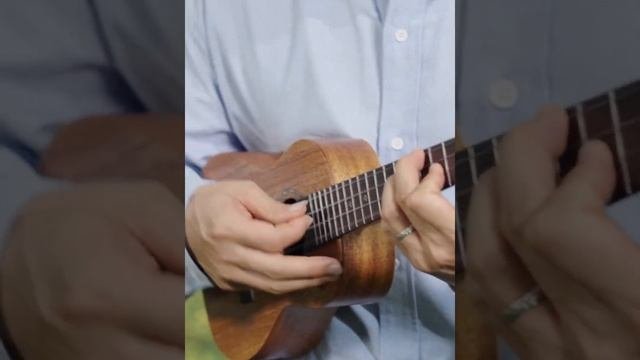 Укулеле концерт Tom T5s - пример звучания