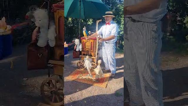 Видео WhatsApp 2024-10-07 в 16.25.24_7f109d9b