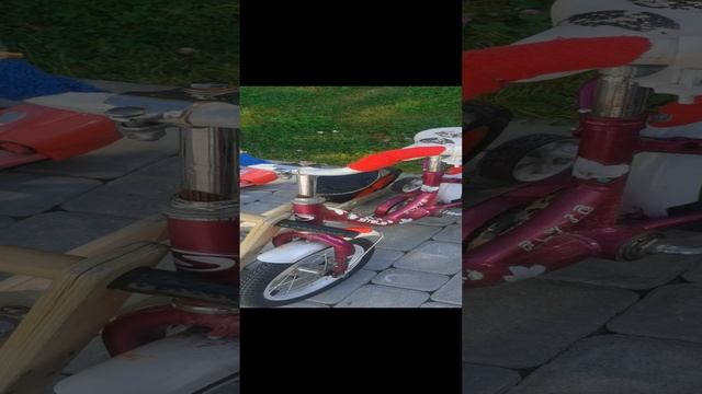 VID_20240908_122552.mp4