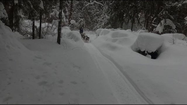 Мастер-класс 18.02