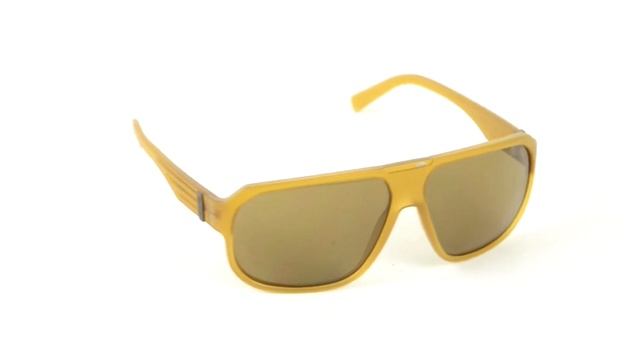 Smith Optics Gibson Sunglasses