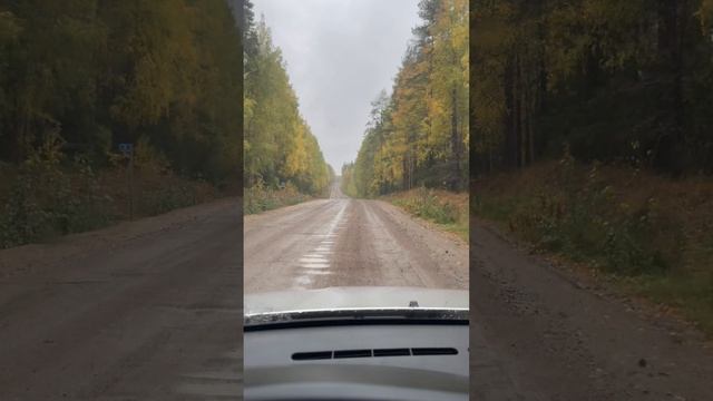 Респ. Карелия | Не разу не заскучал по каменным джунглям столицы | 2024