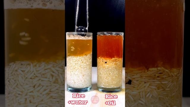 1000°C RHCB vs Rice+ Water vs Rice+ Oil what’s next？ #asmr #satisfying #rhcb #scienceexperiment