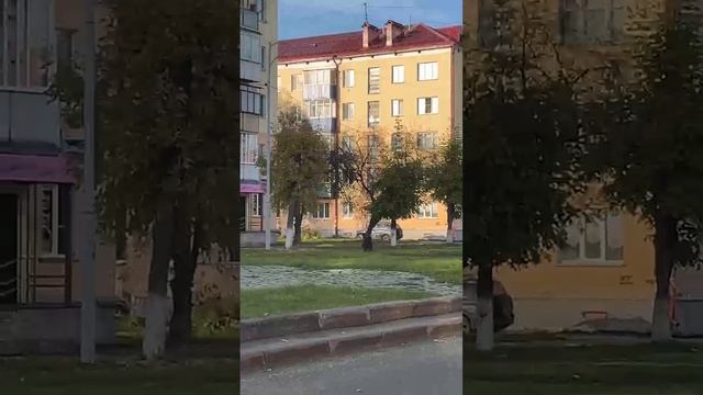 В Междуреченске сегодня видели медвежонка.