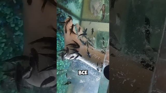 1000131130.mp4