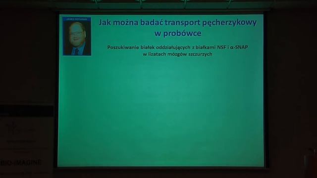 Nagroda Nobla 2013: dlaczego transport komórkowy jest ważny w mózgu? Prof. Marta Miączyńska