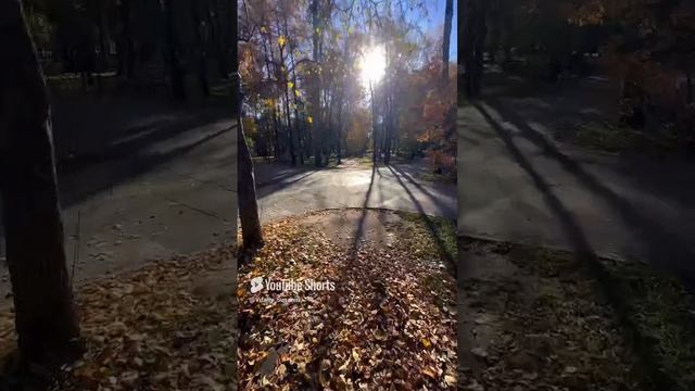 Центральный парк Новосибирск Сибирь Октябрь Недвижимость Новостройки Жилье Переезд в НСК Квартира