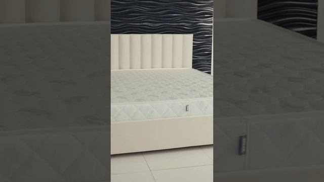 Матрасы Димакс Оптима от Матрас Экспресс
