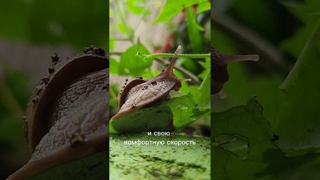 1000154701.mp4