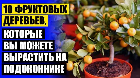 ИСКУССТВЕННЫЕ МИНИ ДЕРЕВЬЯ ⛔ МИНИАТЮРНЫЕ ДЕРЕВЬЯ ДЛЯ КВАРТИРЫ