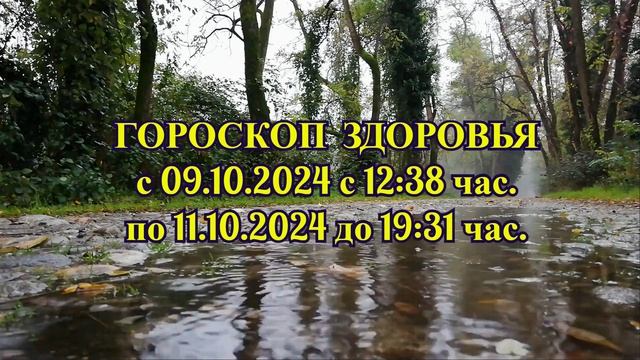 "ГОРОСКОП ЗДОРОВЬЯ с 9 по 11 ОКТЯБРЯ 2024 года!!!"