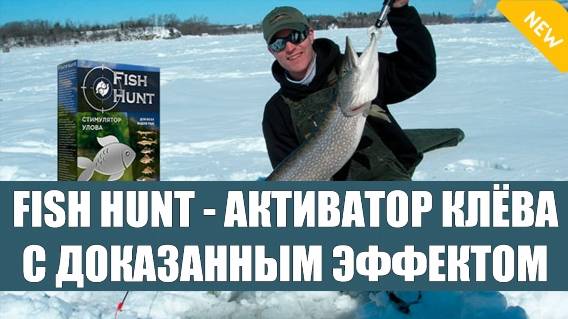 Fishhungry отзывы рыбаков