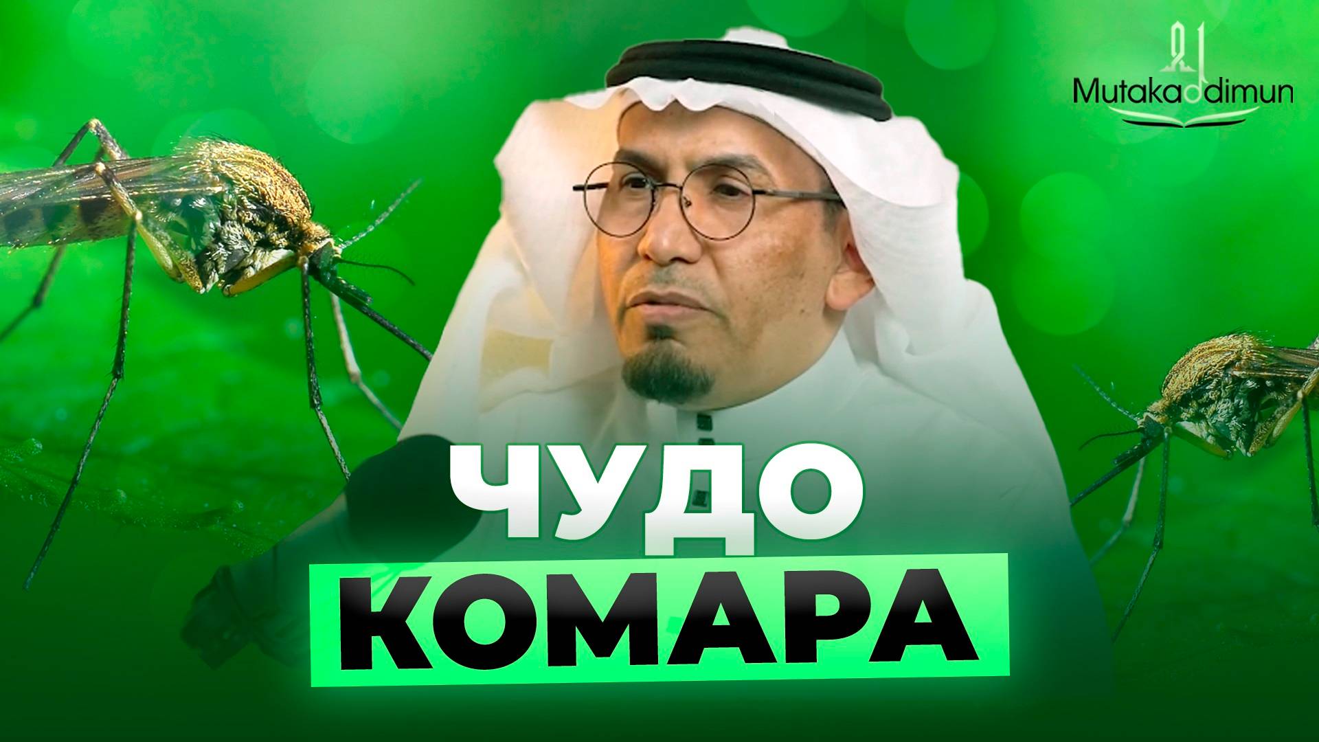 Чудо комара