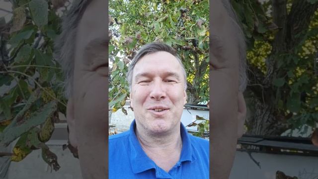 онлайн бизнес.