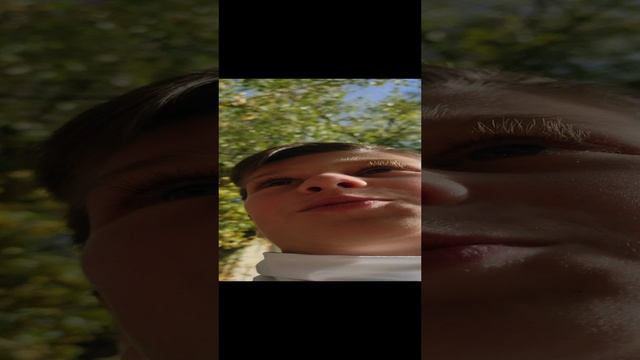 мы гуляем