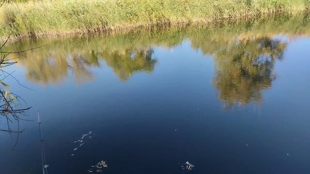 Осень а рыба на речке не. клюёт