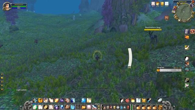 WoW Classic Hardcore (Die = Delete) Priest 27 new wand