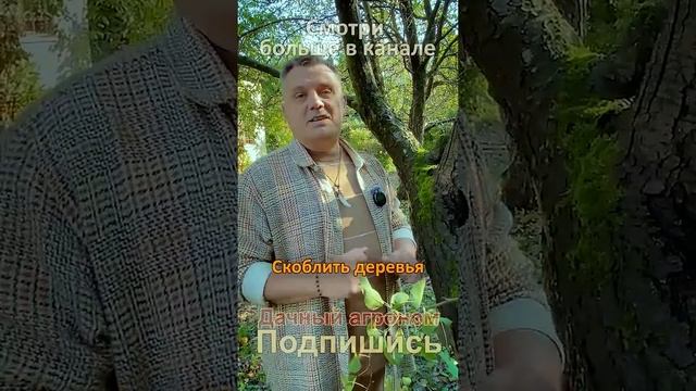 НЕ СЧИЩАЙ МОХ с дерева ПОКА не посмотришь