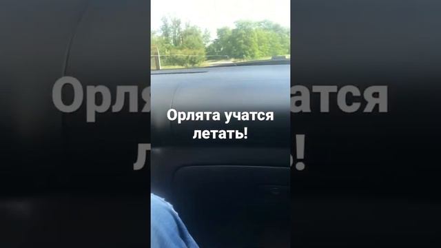 Учимся водить автомобиль.