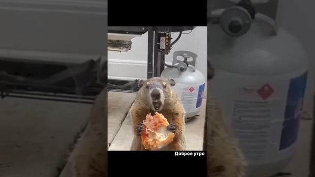 #россия #любовь #moscow #пранк