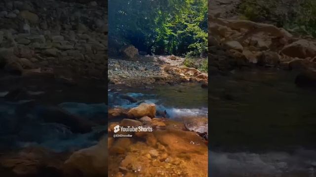 1000341043.mp4