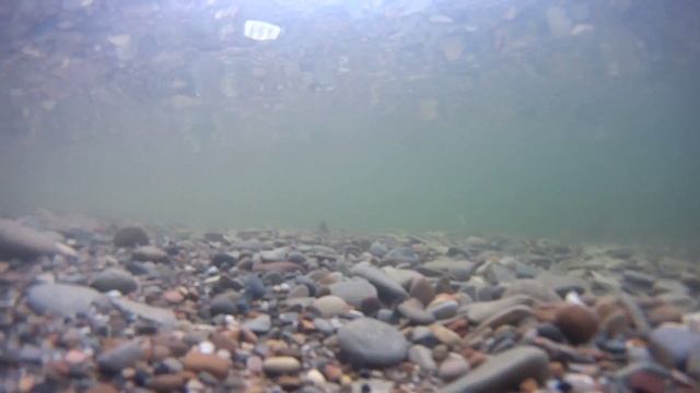 Sony Action Cam HDR AS20 под водой